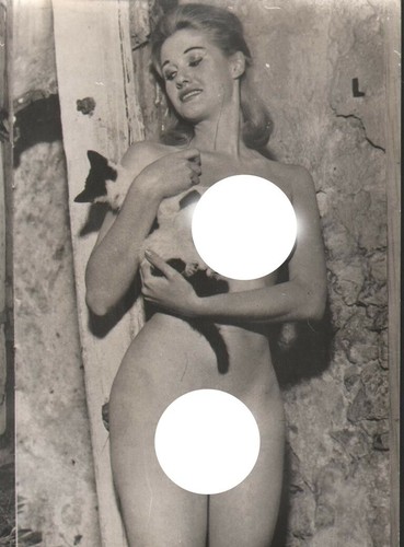 Fotografia vintage donnina - vintage,