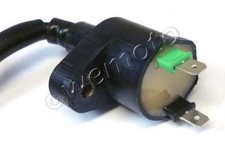 Bobina Alternativa Nera - 2 Pin - 6v / 12v  Generic  Trigger 50 SM  06-12