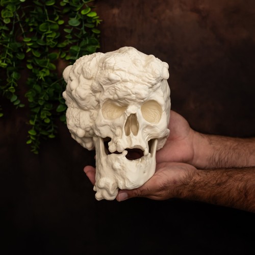 Joseph merrick skull replica - merrick,