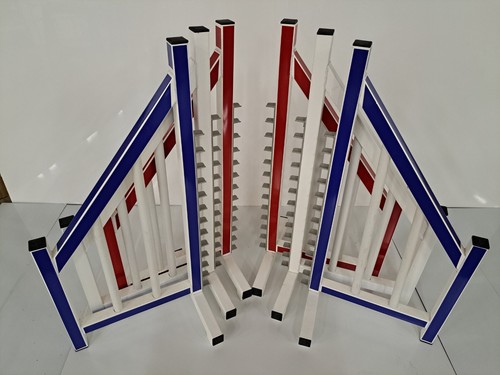 Set dog agility - 3, vinile