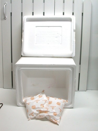 Creative packaging polistirolo - creative,