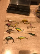 Pesca Al Luccio Con Mulinello