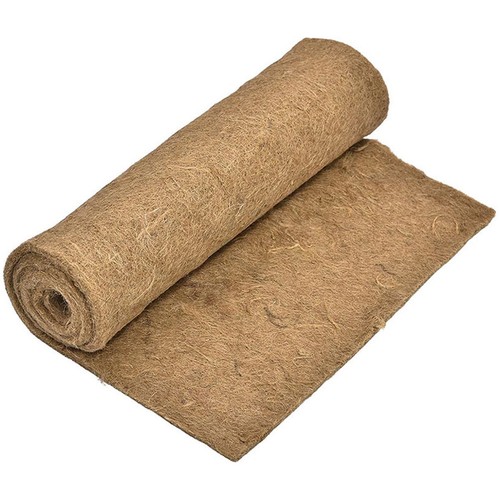 Cuscino terrario lucertola