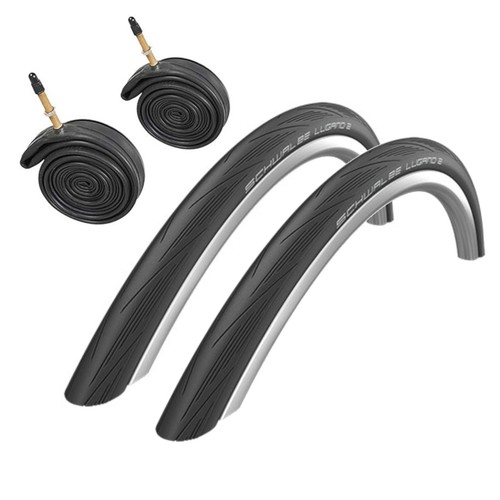 Coppia schwalbe lugano - coppia, x