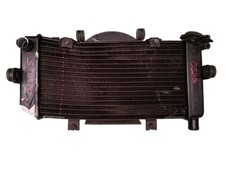 RADIATORE ACQUA WATER RADIATOR YAMAHA TDM 900 02-14 N402E