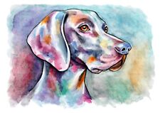 Acquerello cane Weimaraner dipinto a mano