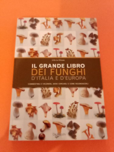 Lillo chiusa grande - la,