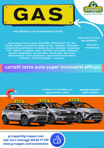 Cartelli auto tetto magnetici