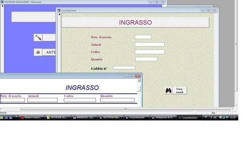 Software gestionale gestione - gestionale,