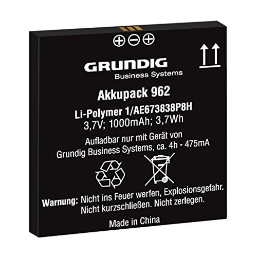 Grundig ion 1000 mah - grundig, li-ion