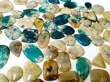 Cabochon corallo fossile unico
