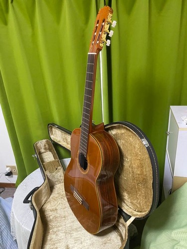 Chitarra acustica takamine - chitarra,