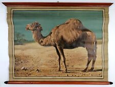 ANTONIO VALLARDI EDITORE -