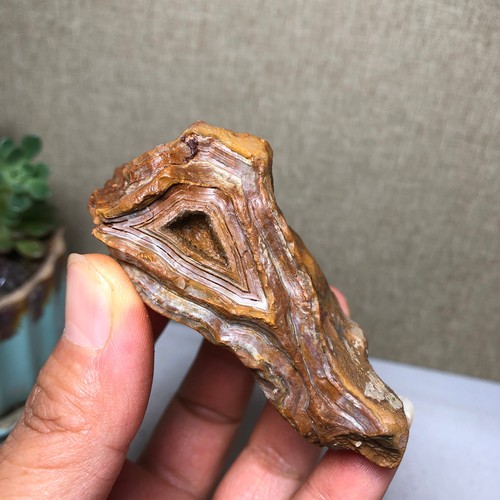 Bonsai naturale 110g suiseki - bonsai,