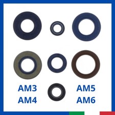 Kit paraolio revisione motore tenute MINARELLI AM3 AM4 AM5 AM6 50cc