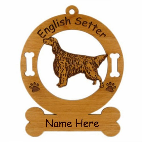 Setter inglese stand razza - inglese,