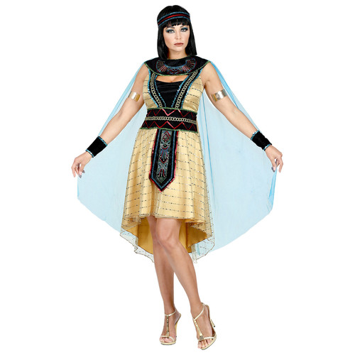 Vestito carnevale regina - carnevale,