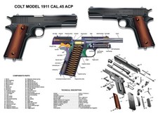 COLT 1911 CAL 45 ACP GUN