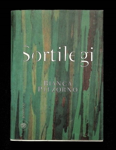 Sortilegi libro pitzorno - libro,