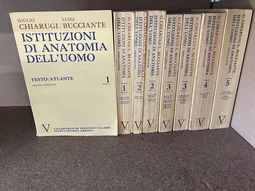 Istituzioni anatomia - istituzioni, di