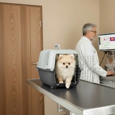 Trasportino per animali