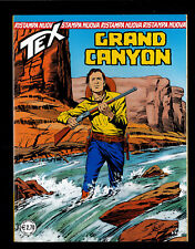 Tex Nuova ristampa n.202 del 2008 "Grand Canyon" Edicola Bonelli ▓
