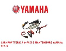 Caricabatterie fasi e - 6,