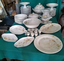 FLORIO CERAMICA _1904  - Servizio con decori floreali _ periodo  Liberty