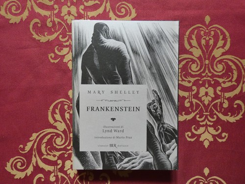 Frankenstein mary - frankenstein,