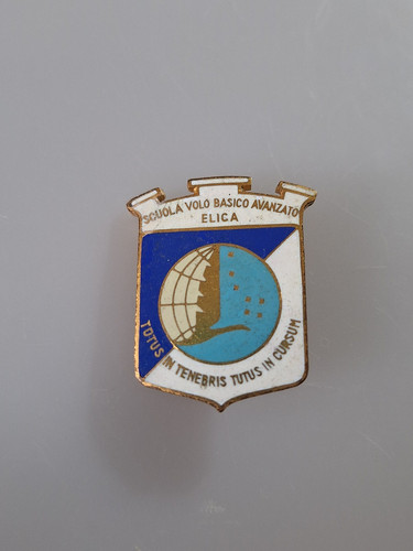 Distintivo scuola volo basico - volo,