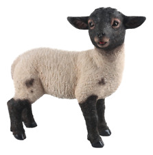 Statuina Suffolk Agnello