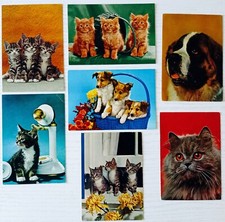 Lotto 7 vecchie cartoline vintage tema cani e gatti, formato grande VG NV