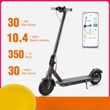 350W Electric Scooter for