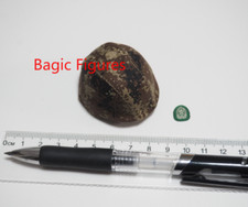 Elmetto 1/6 action figure