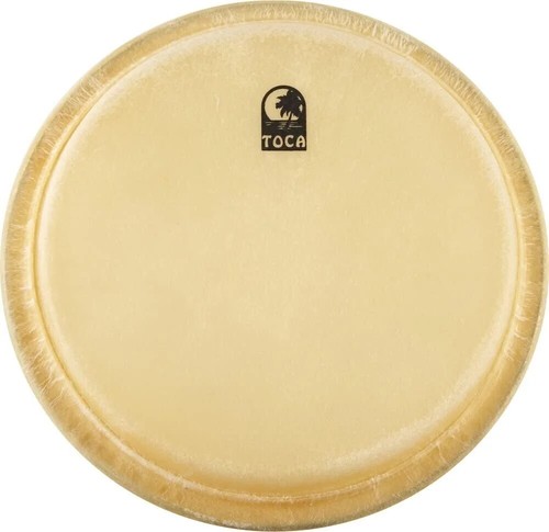 Toca 40111 testa - toca, 11''
