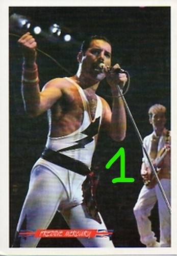 Queen freddie mercury - freddie,