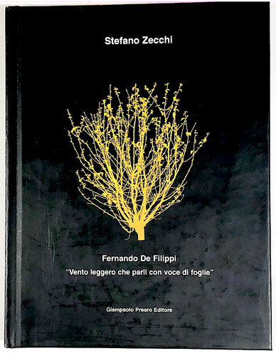 Fernando filippi vento - fernando,