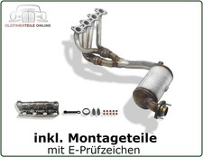 Acciaio Inox Catalizzatore