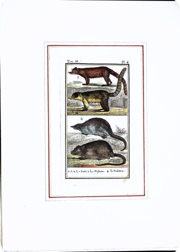 Stampa antiche epoca - antiche,