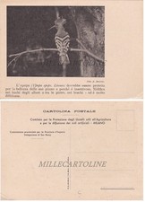 MILANO: Comitato protez. degli uccelli utili all'agricoltura "UPUPA"