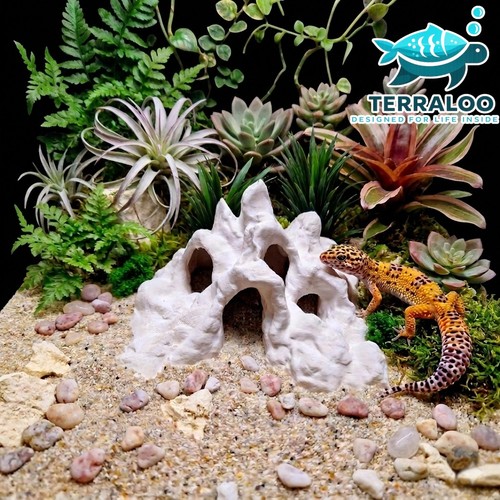 Hadals rise acquario terrario - hadals,