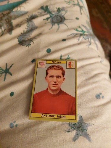 Figurina panini calciatori - figurina,
