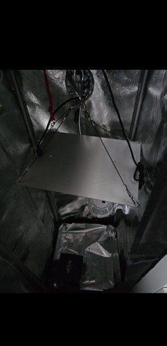 Growbox set completo tenda - , da