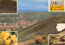 22-86E) CANELLI SPUMANTE VITI VIAGGIATA ASTI