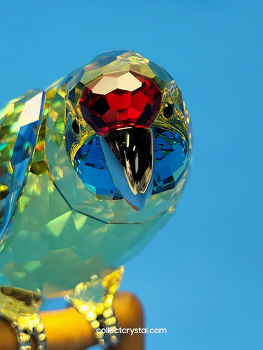 Swarovski paradise birds - swarovski,