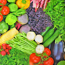 Cerata Tovaglia Verdure