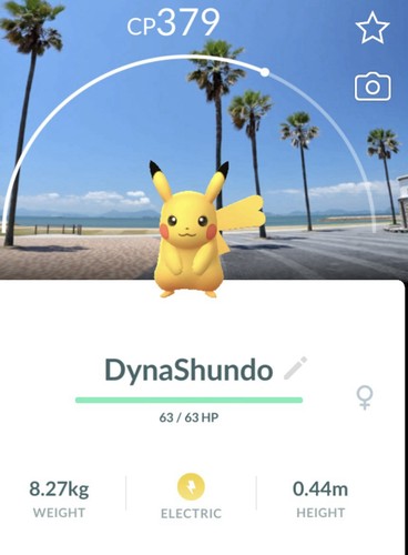 Pokemon pikachu poke - go,