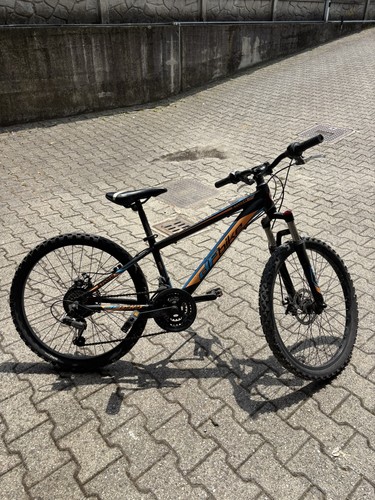 Mountain bike - mountain,