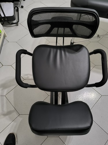 Sedia ergonomica posturale - ergonomica,