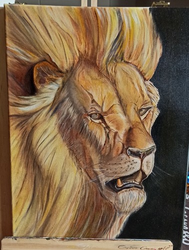 Quadro leone 30x40 olio su - quadro,